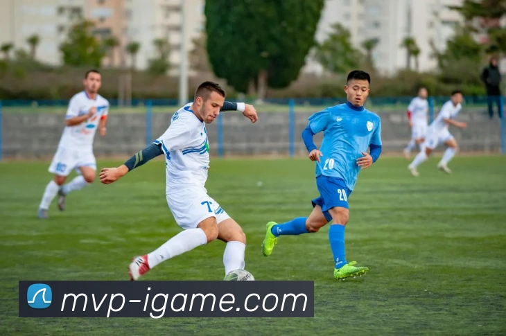 爱游戏平台生态图